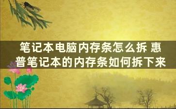 笔记本电脑内存条怎么拆 惠普笔记本的内存条如何拆下来